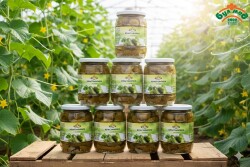 Кисели Краставички БУЛМЕД (680 гр) – Хрупкави и Свежи за Салати и Зимнина